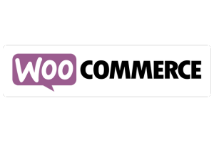 woocommerce services